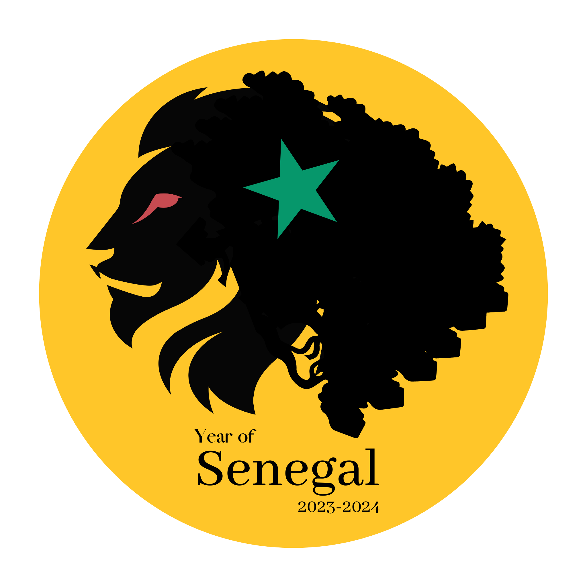 Year of Senegal Logo 2324