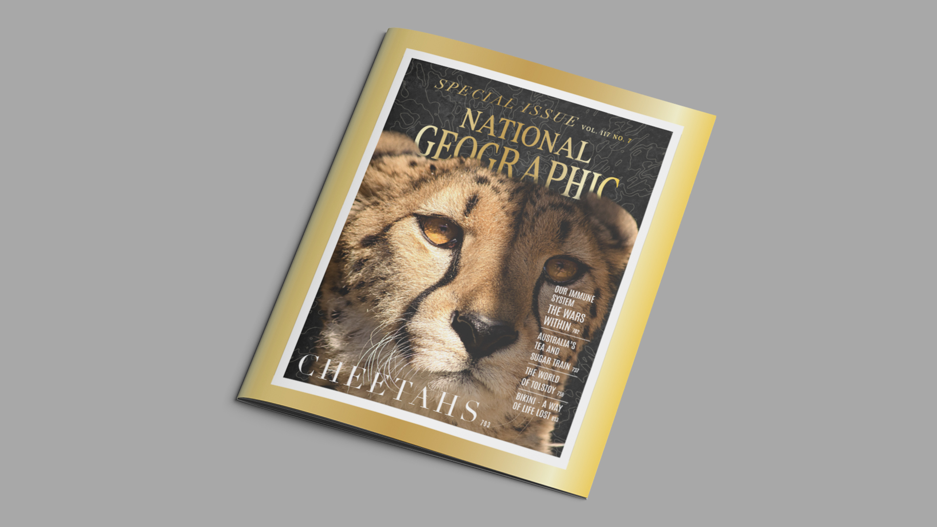 National Geographic Special Issue: Cheetahs / “National Geographic Special Issue: Cheetahs,” magazine cover, 6x 7.75 inches print ad, 2023. This is a National Geographic-style design for a special issue focused on cheetahs.