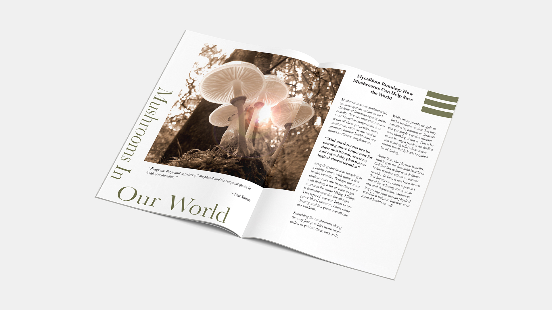 Mushrooms of our world magazine spread / “Mushrooms of our world magazine spread,” 11 x 10 inches print maga- zine, 2023. This magazine spread provides informative reading on the uses of mushrooms.