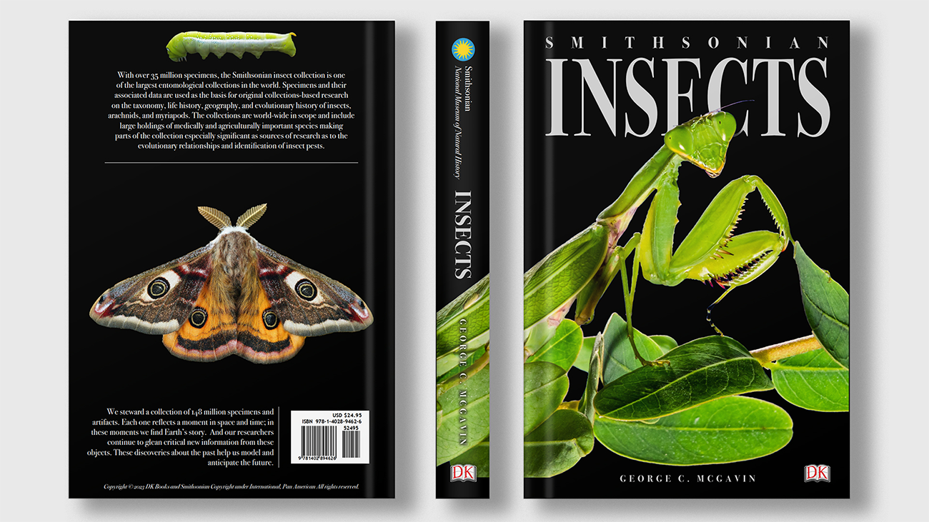 Insect Book / "Insect Book," hardcover book, 6 x 9, print cover, 2023. This is a mock design of a Smithsonian encyclopedia on insects.