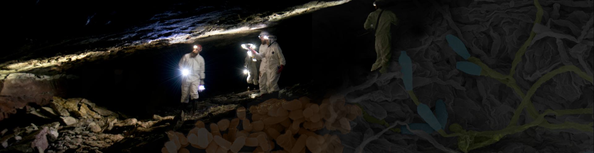 cave with bats men in hazmat suits