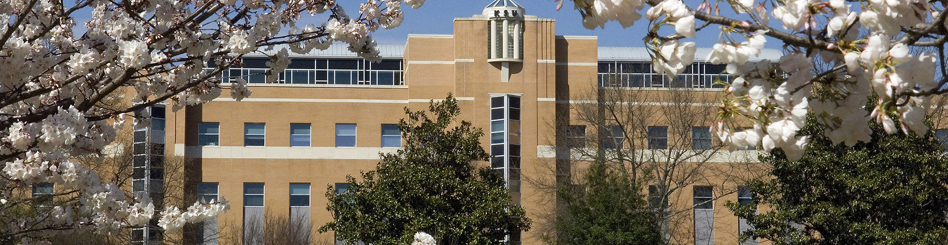 Coles College Burruss building in spring.