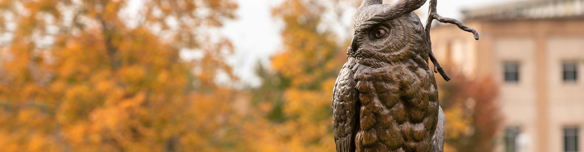 KSU bronze owl statue perched on a branch, with a blurred background of autumn foliage and a KSU building in the background.