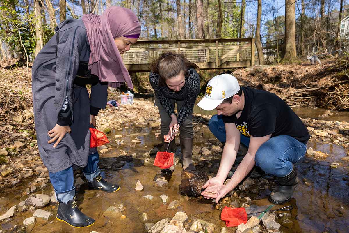 Undergraduate students collecting research samples in the field. / Undergraduate students collecting research samples in the field.