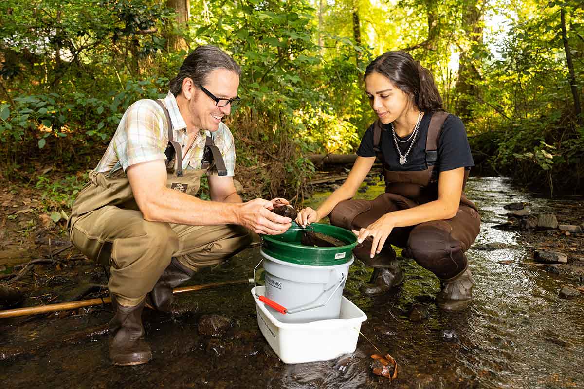 Dr. Troy Mutchler and student collecting samples in a creek. / Dr. Troy Mutchler and student collecting samples in a creek.