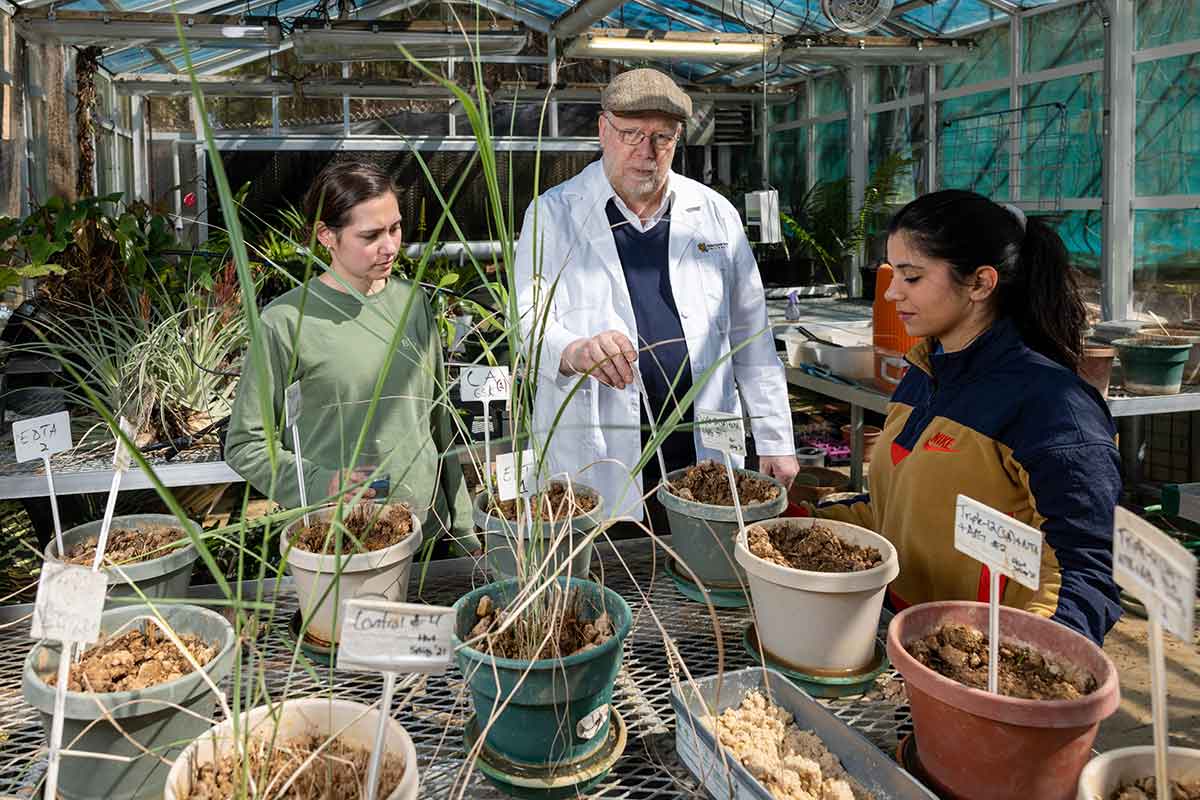 Faculty with students working on research in the greenhouse. / Faculty with students working on research in the greenhouse.