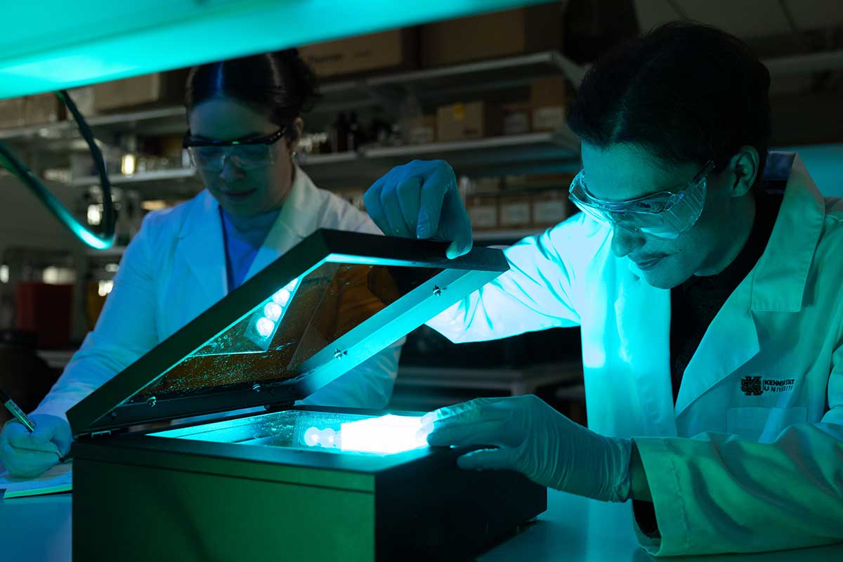 Faculty and students working in a laboratory. / Faculty and students working in a laboratory.