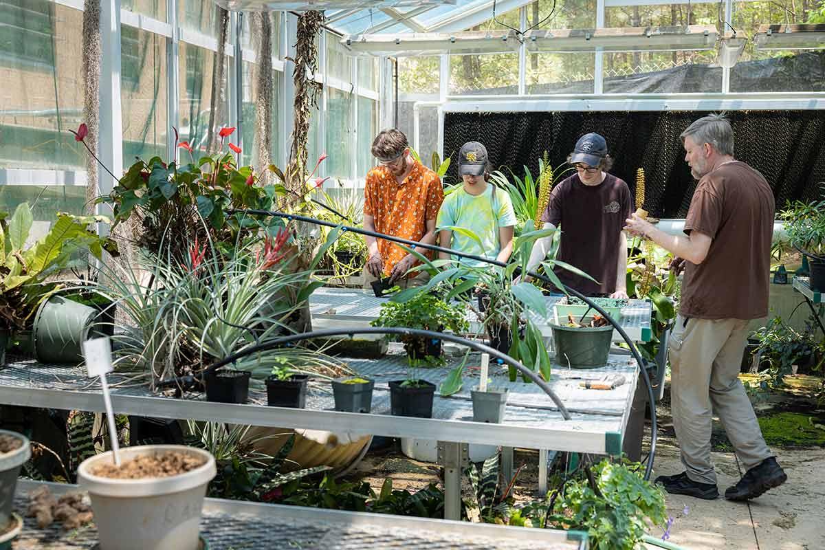 Biology research with faculty and students conducted in the greenhouse on the Kennesaw campus at Kennesaw State University / Biology research with faculty and students conducted in the greenhouse on the Kennesaw campus at Kennesaw State University