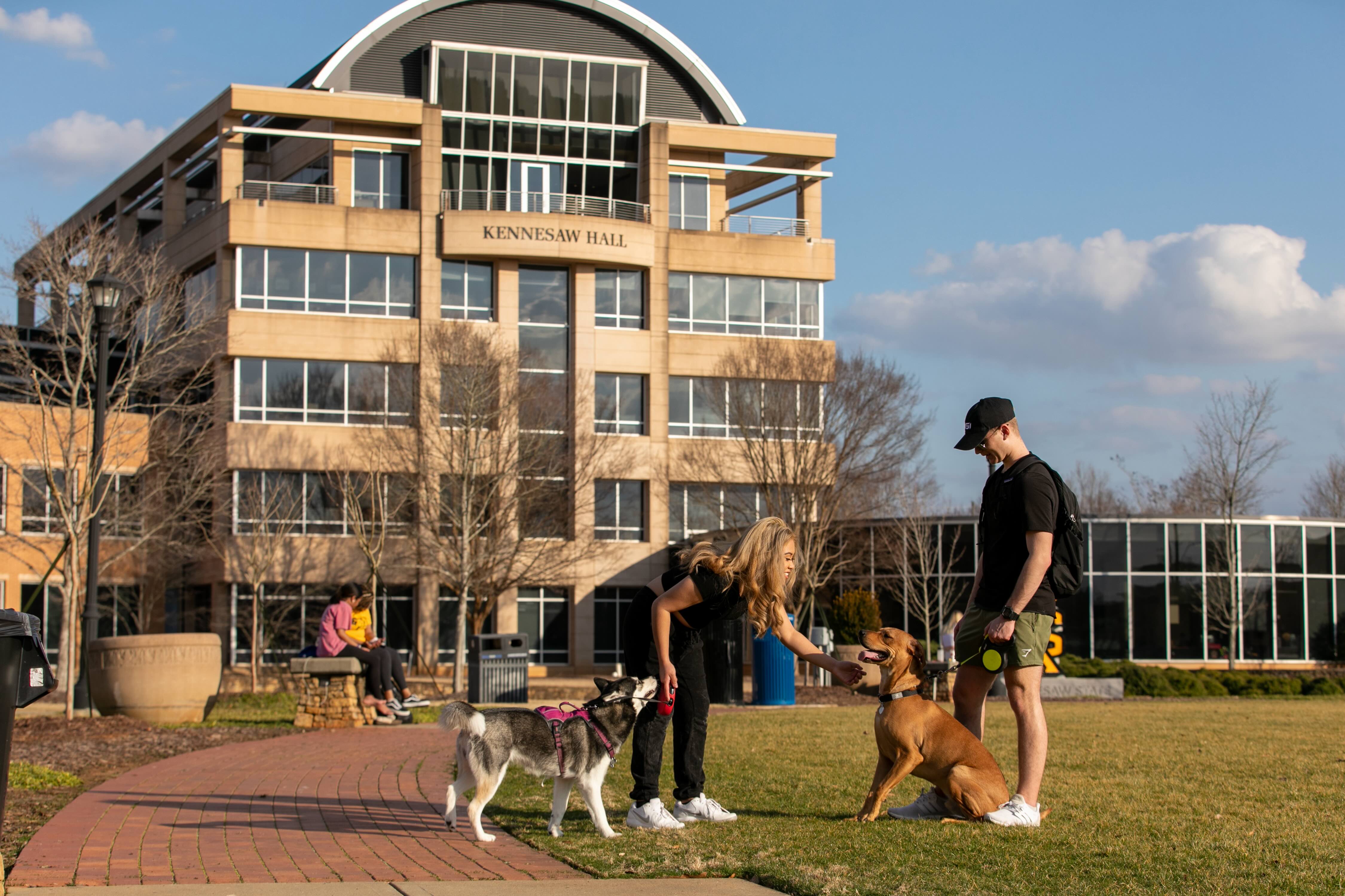 Students on a campus green with two dogs