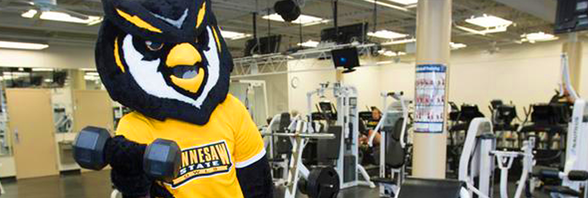 In the gym with Scrappy the Owl weightlifting in the background is equipment, including benches, barbells, and weight plates