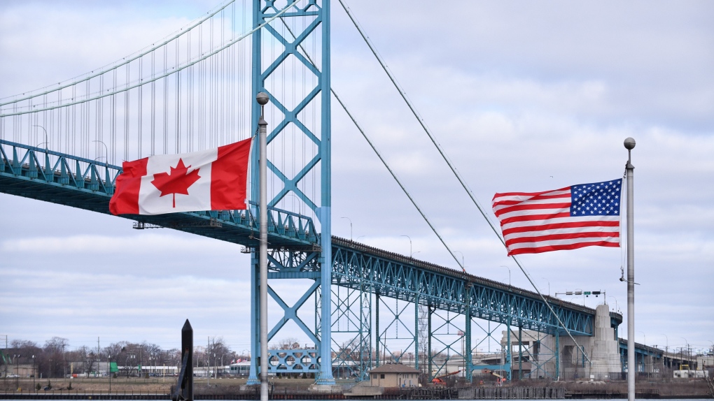 Immigration Flags