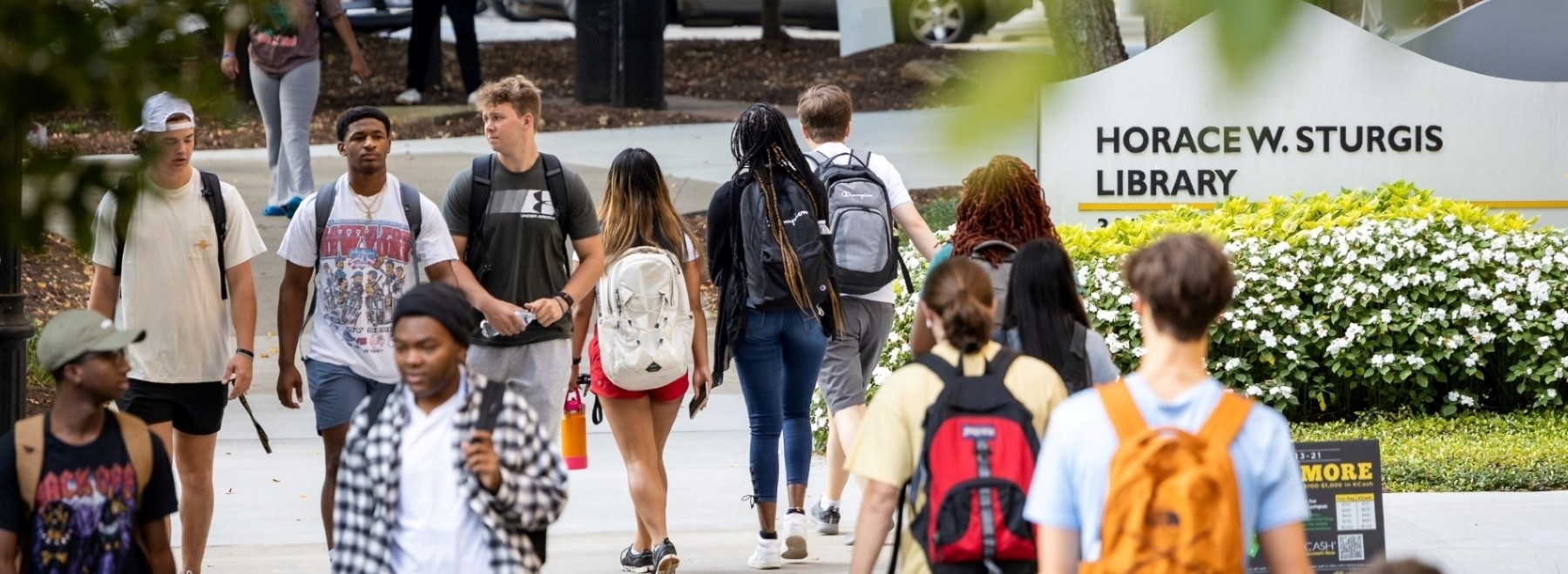 Many college students walking on a sidewalk in front of the KSU Sturgis Library sign