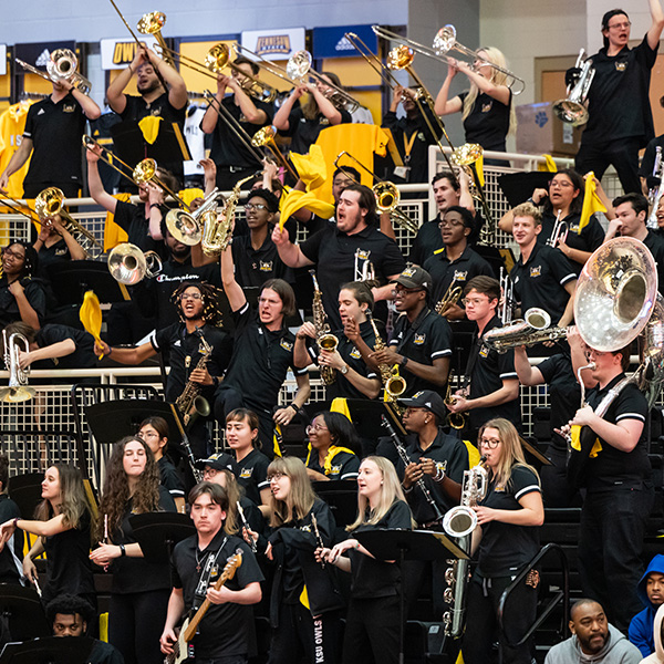 basketball band in the stands