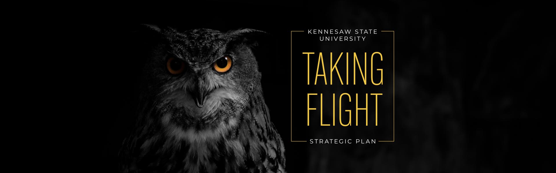 Kennesaw State University, Taking Flight Strategic Plan.