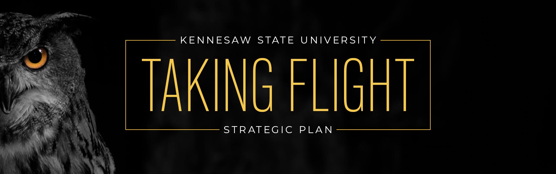 Kennesaw State University, Taking Flight Strategic Plan.