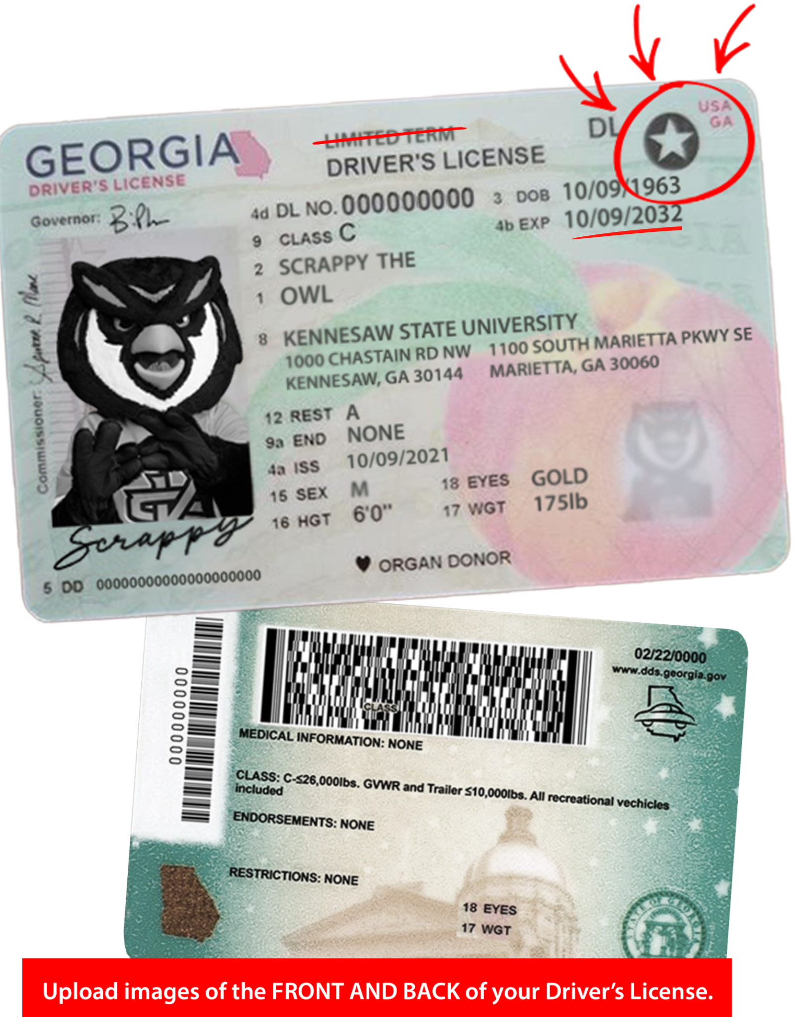 ga drivers licence with scrappy photo