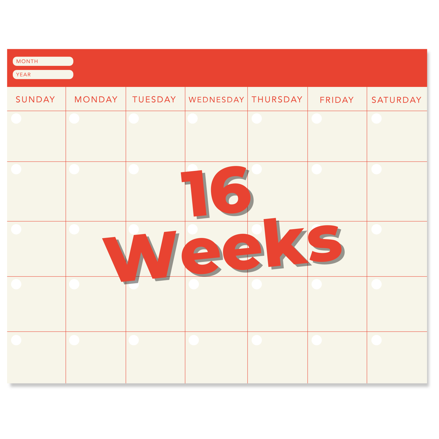 16 weeks