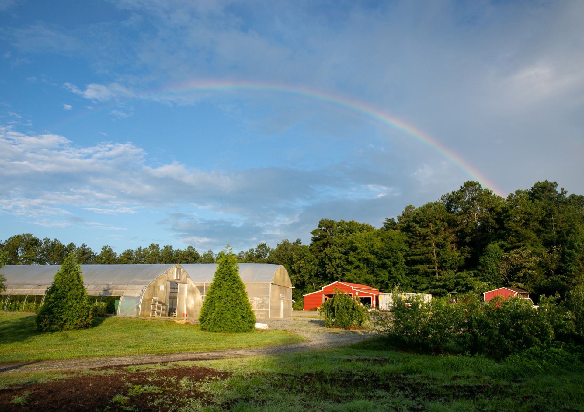 A rainbow arches over a green field  at the KSU field station with a large greenhouse and several smaller buildings in the background.