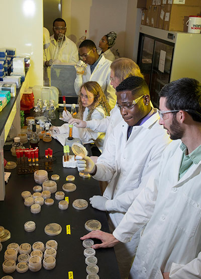 students conducting research in lab