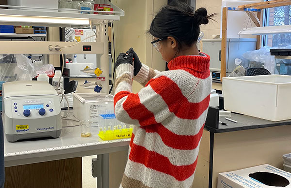 Photo of undergraduate student Van Par working in the lab.