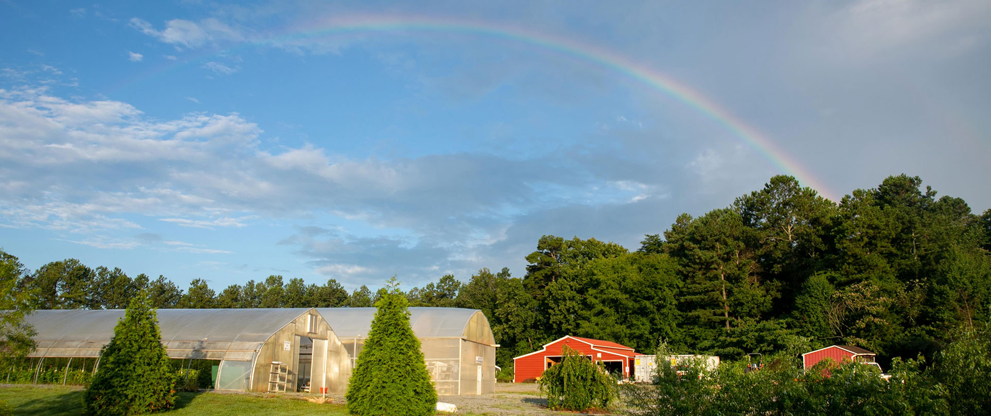 Photo of the Field Station, managed by the Office of Research, is a 25-acre property located along a tree-lined road parallel to Interstate 75 approximately two miles from the Kennesaw Campus