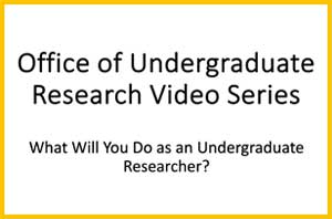 Image of video four - What Will You Do as an Undergraduate Researcher