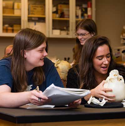 students enjoying class