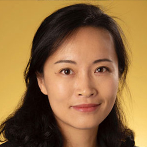 Lin Li - Graduate Program Coordinator and Associate Professor KSU