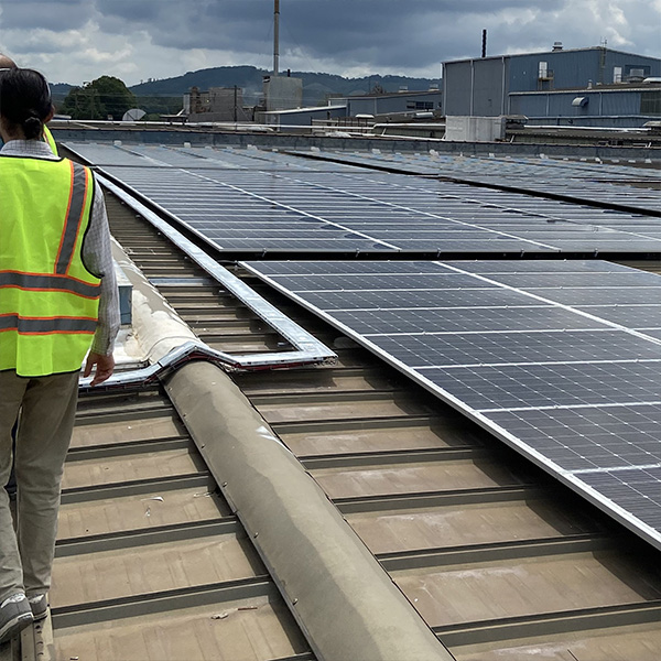 member walking next to solar pannels